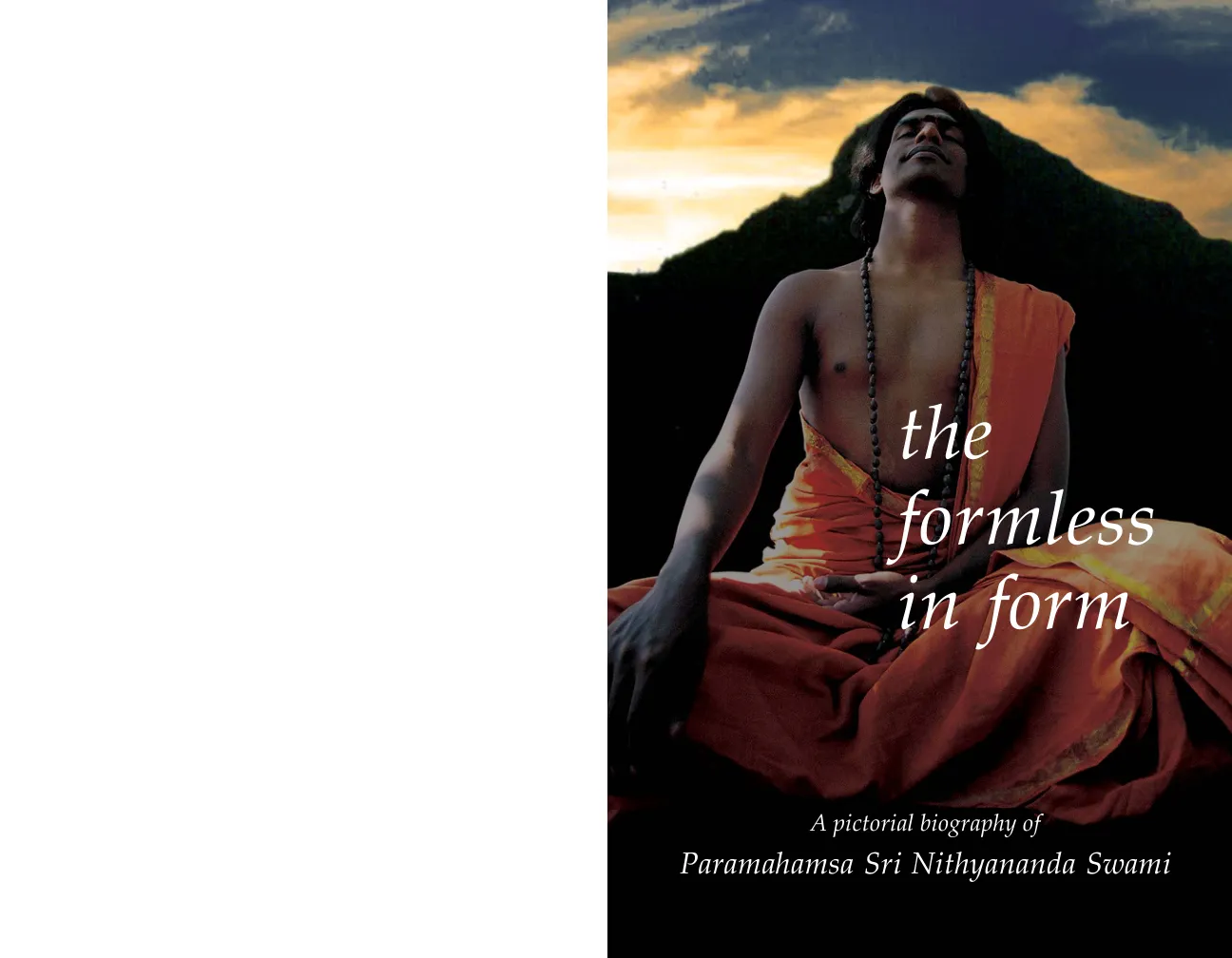 the formless in form - A pictoral biography of Paramahamsa Sri Nithyananda Swami - English